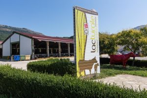 Visitas virtuales para mayores de las residencia de Navarra