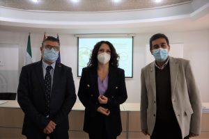 Plan de Investigaci&oacute;n e Innovaci&oacute;n en Servicios Sociales