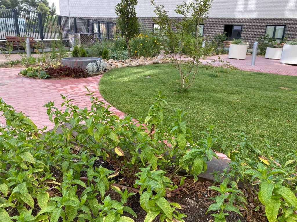 Pryconsa Senyor obtiene la certificación de “Jardín terapéutico” en la residencia de Las Mercedes