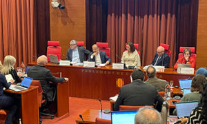 tiempo de espera en dependencia