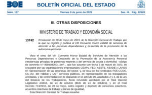 VIII Convenio Estatal de Dependencia