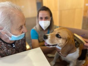 Animales en las residencias de mayores: un v&iacute;nculo terap&eacute;utico.