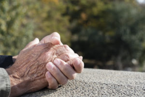 SEGG: Geriatr&iacute;a y Gerontolog&iacute;a