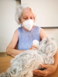 Mascota interactiva, Eulen Sociosanitario.