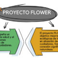 'Día Mundial del Medio Ambiente', la Confederación Española de Organizaciones de Mayores (CEOMA): Proyecto Flower.