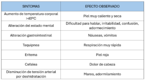 Cuadro. Principales síntomas que presentan las personas mayores ante los golpes de calor