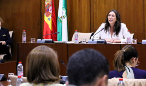 La consejera de Inclusi&oacute;n Social, Juventud, Familias e Igualdad de la Junta de Andaluc&iacute;a, Loles L&oacute;pez, en comisi&oacute;n parlamentaria, valorando la incorporaci&oacute;n de los trabajadores sociales en la atenci&oacute;n a la dependencia.