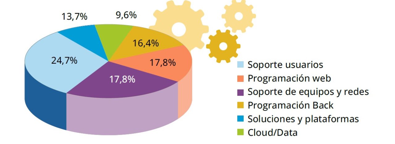 Áreas funcionales de los profesionales con discapacidad.