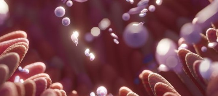 El proyecto MIMIC avanza frente a la inflamaci&oacute;n cr&oacute;nica asociada al envejecimiento a partir del microbioma.