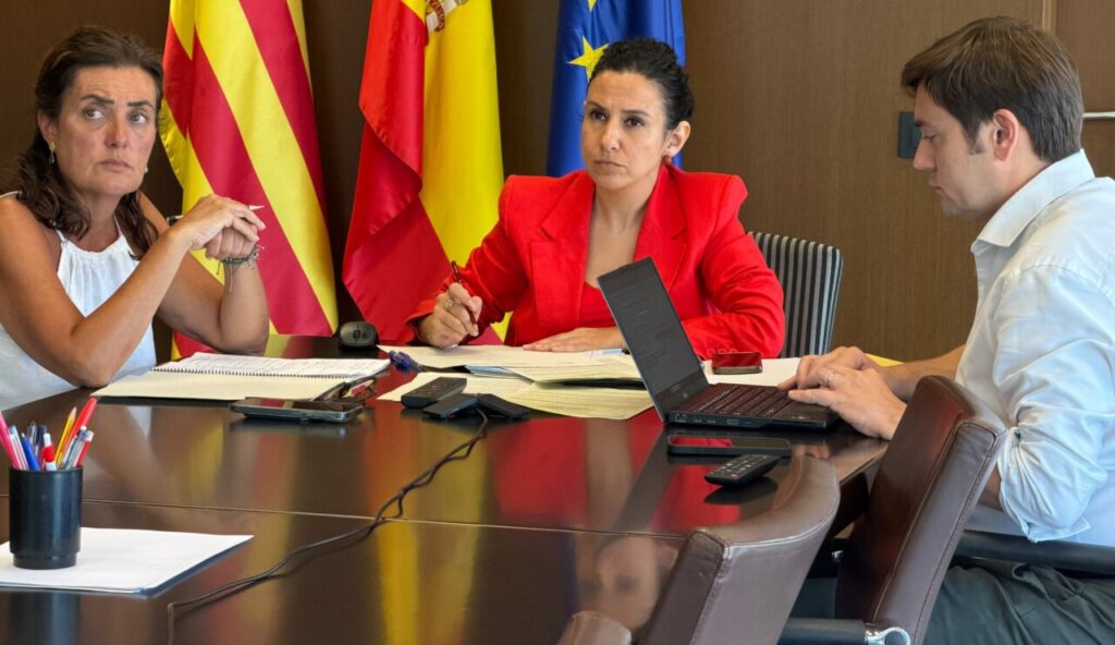 Reunión del Consejo Territorial sobre dependencia con varios participantes