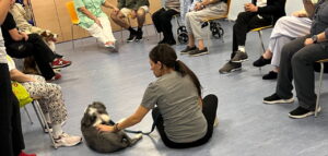 Pacientes interactuando con perros en terapia asistida en hospital