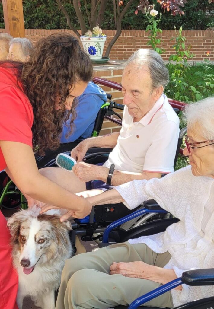 Interacción de personas mayores con un perro durante terapia asistida